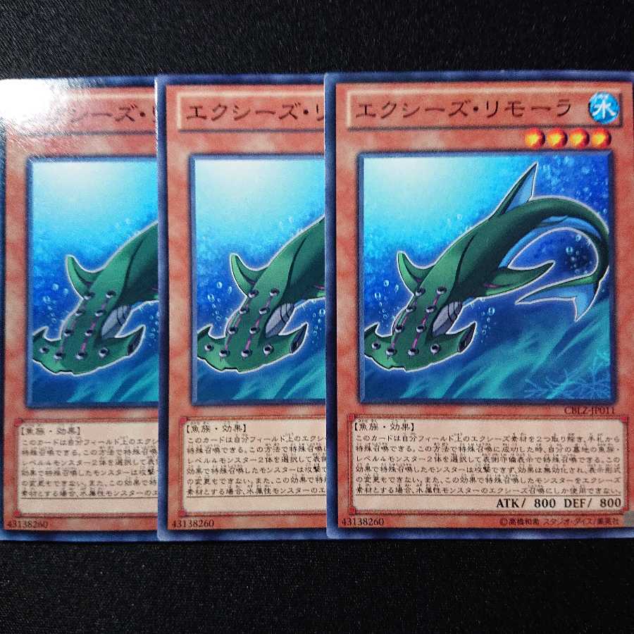 エクシーズ・リモーラ