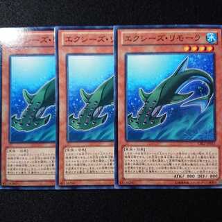 エクシーズ・リモーラ