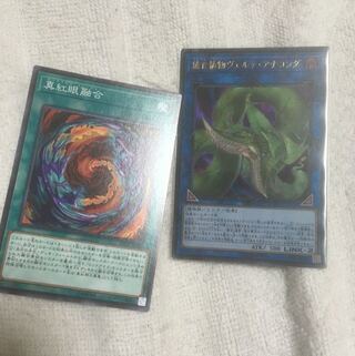 捕食植物ヴェルテアナコンダ