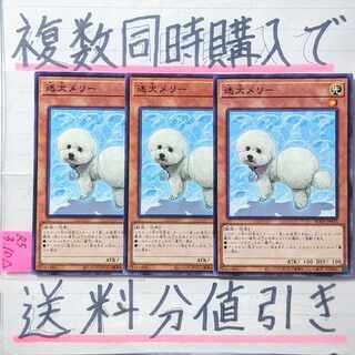 Discount on shipping when purchasing multiple items at the same time] Outstanding Dog Mary NR x 3