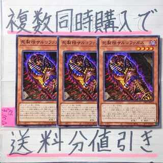 【複数同時購入で送料分値引き】死製棺サルコファガス　NR×3枚