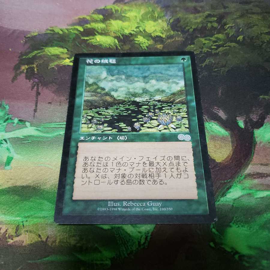 花の絨毯【日本語】【USG】