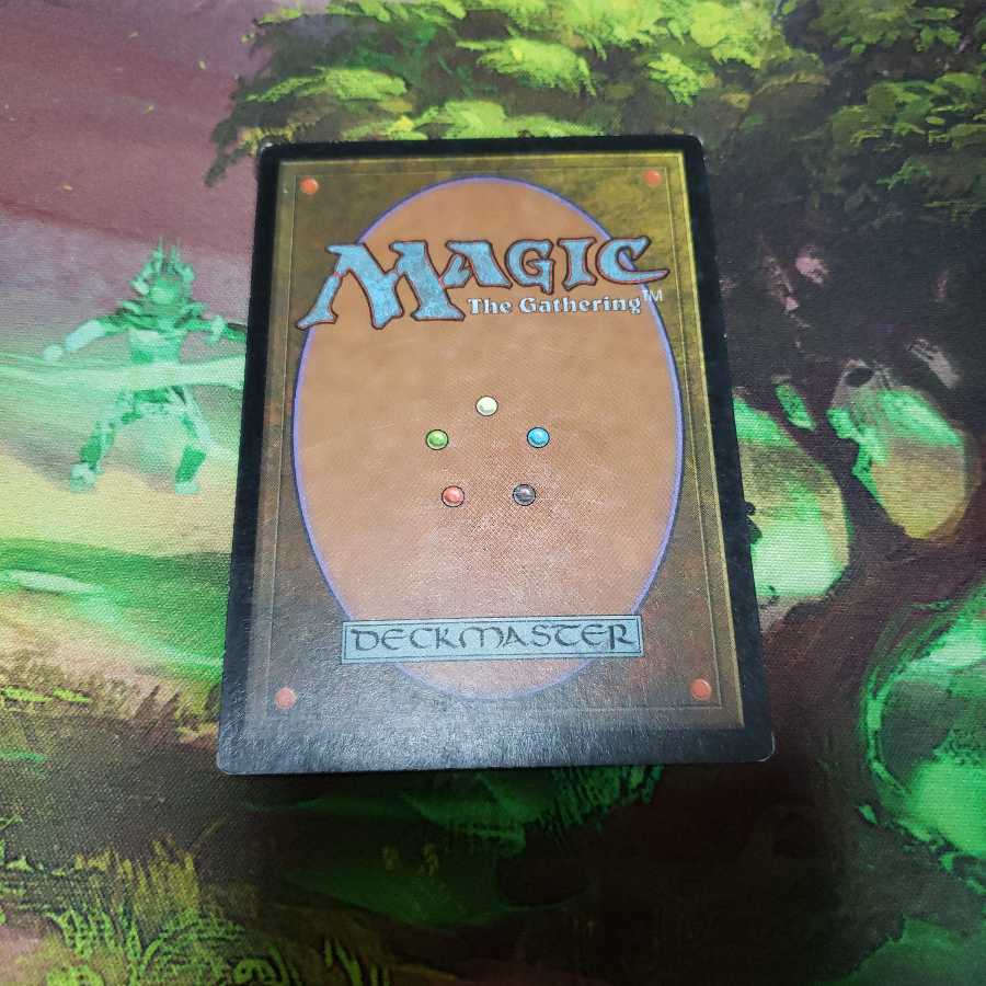 花の絨毯【日本語】【USG】