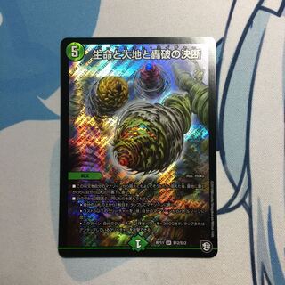 Life Life, Earth and Roaring Decision SR S12/S12