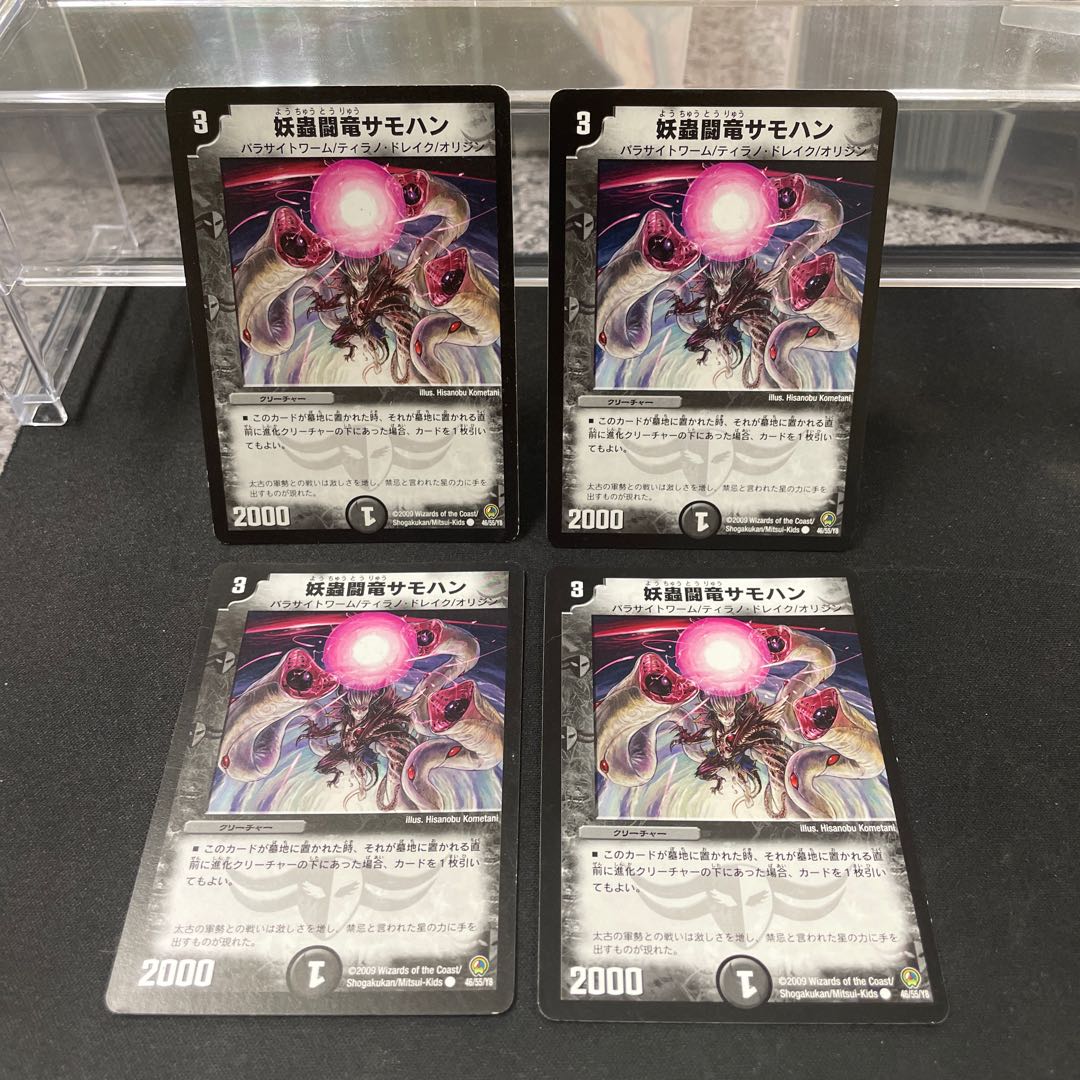 Spectacled Fighting Dragon Samohan C 46/55/Y8 ④