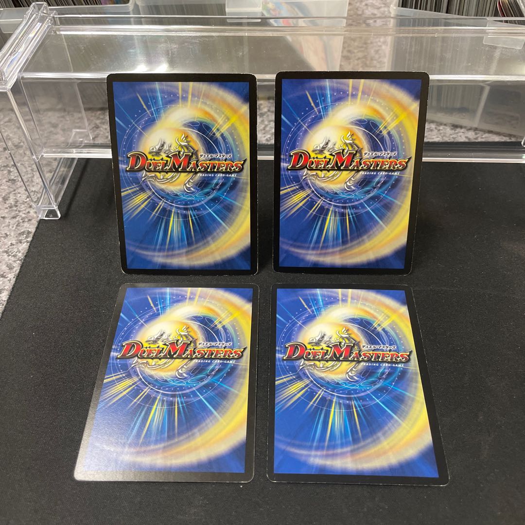 Spectacled Fighting Dragon Samohan C 46/55/Y8 ④