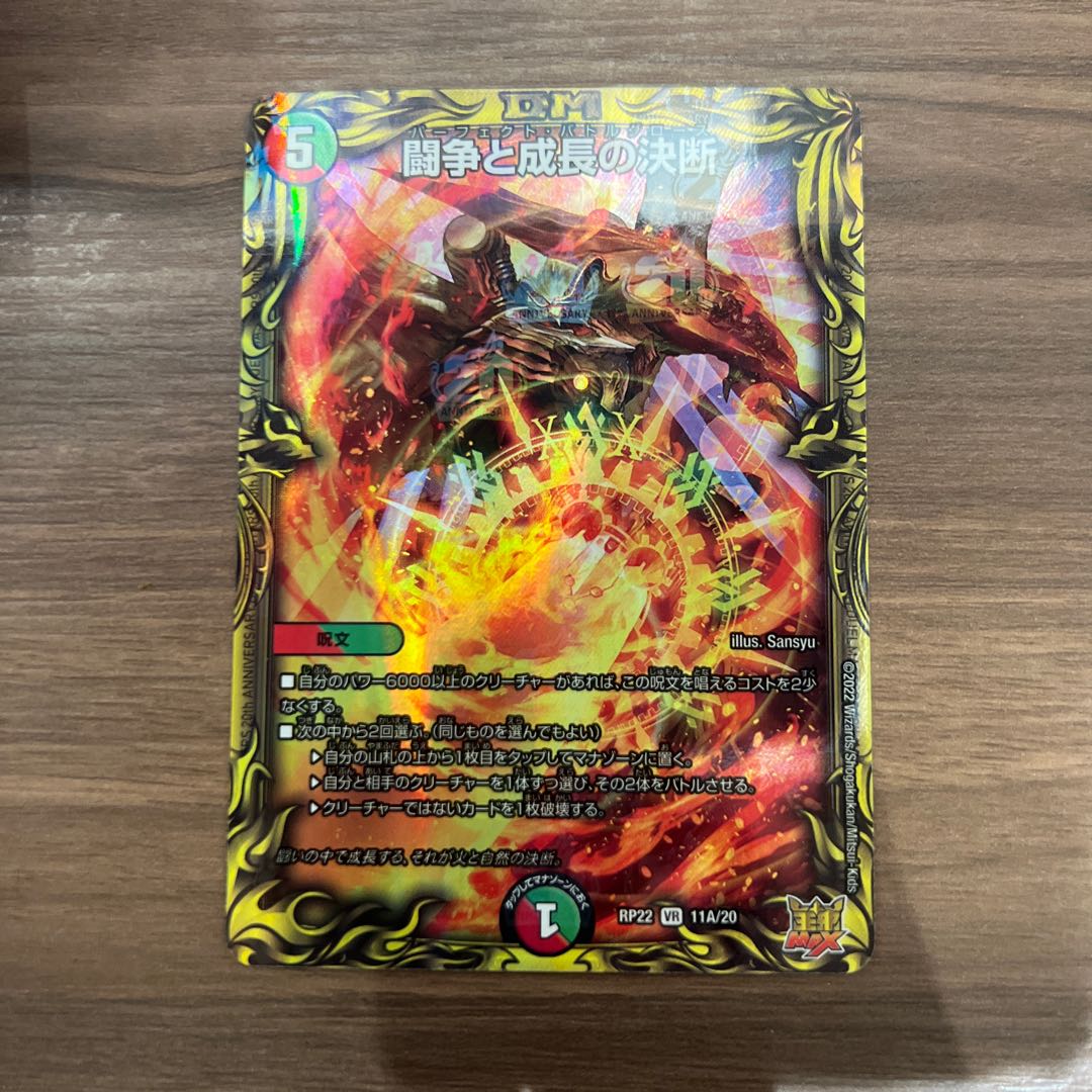 Fighting Conflict and Growth Decisions