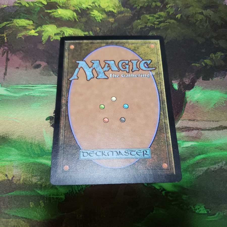 全知【日本語】【M19】