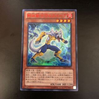 【ナッツ様】熱血獣士ウルフバーク、戦華盟将-双龍