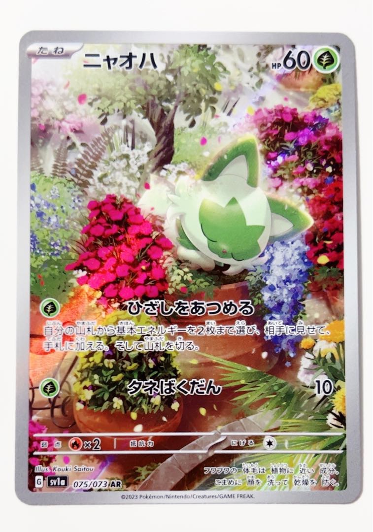 Nyoha AR Triplet Bede