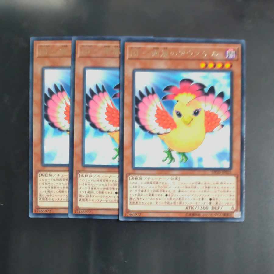 BF-南風のアウステル レア JP025✕3　【木林堂】