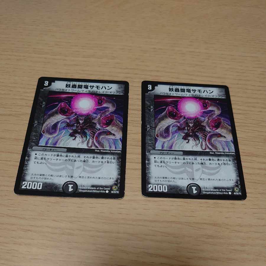 Spectacular Fighting Dragon Samohan 2 pieces