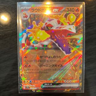 Loudborn ex RR 020/073 1枚