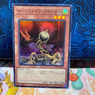 No.1906 P屋　ローンファイア・ブロッサム 【スー】