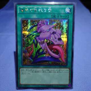 Pot of Desires Secret Rare JP066