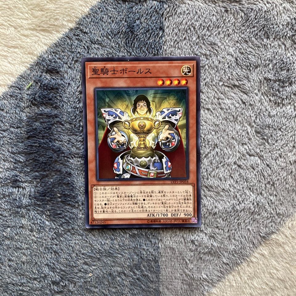 Holy Knight Series +Sonic Warrior