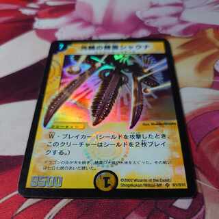 光輪の精霊シャウナ SR S1/S10