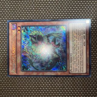 Yu-Gi-Oh Predaplant Chlamydosundew EU Version (English) Siku 1st 1 copy