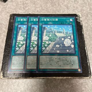 White Rose Cloister 3 normal