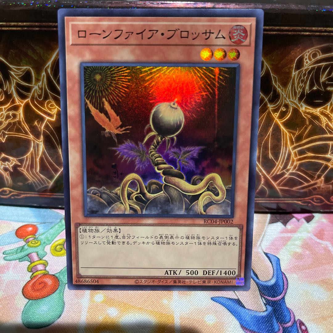 No.1907 P屋 ローンファイア・ブロッサム 【スー】