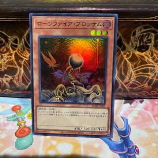 No.1908 P屋　ローンファイア・ブロッサム 【スー】