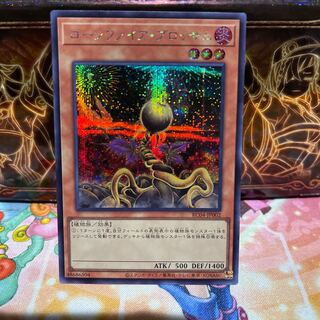 No.1912 P屋　ローンファイア・ブロッサム 【シク】