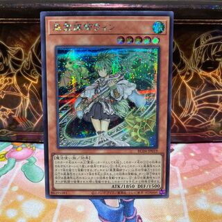 No.1927 P屋　風霊媒師ウィン 【シク】