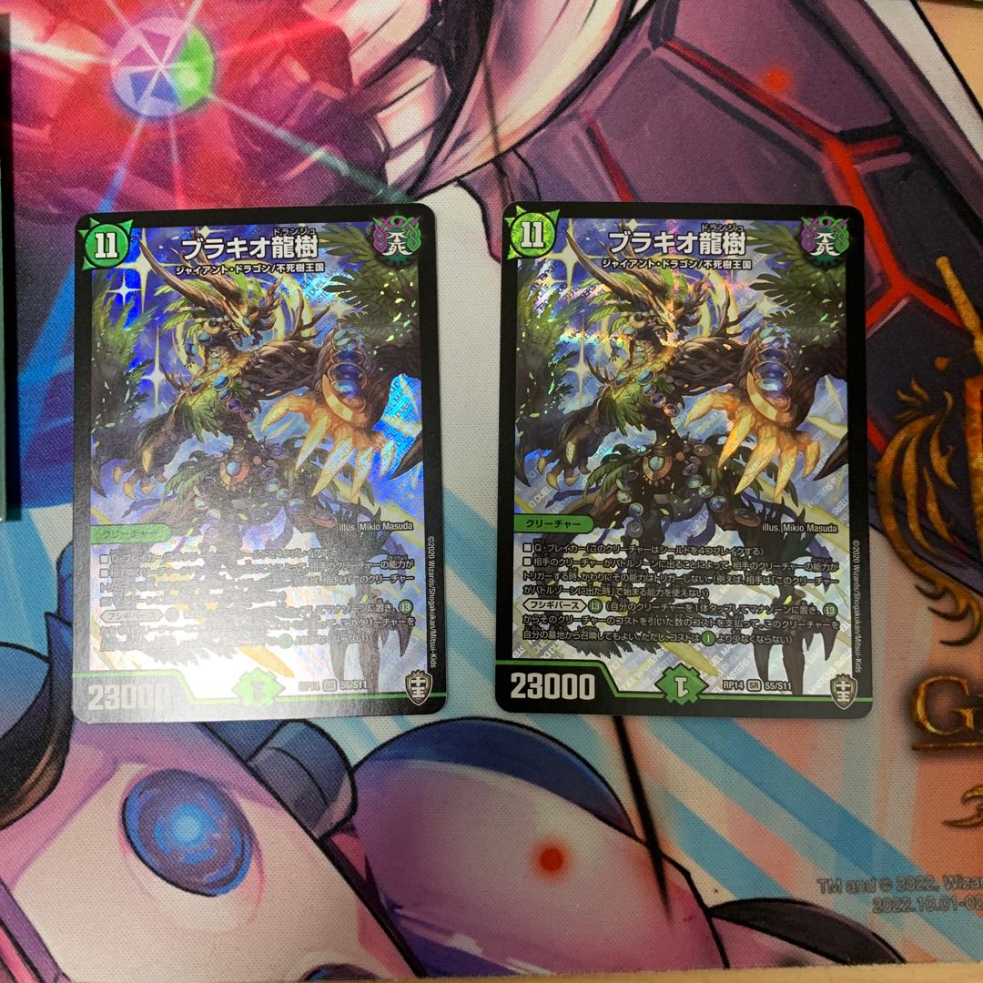 Ryuki Brachio SR S5/S11