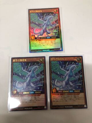 きらりあ様専用