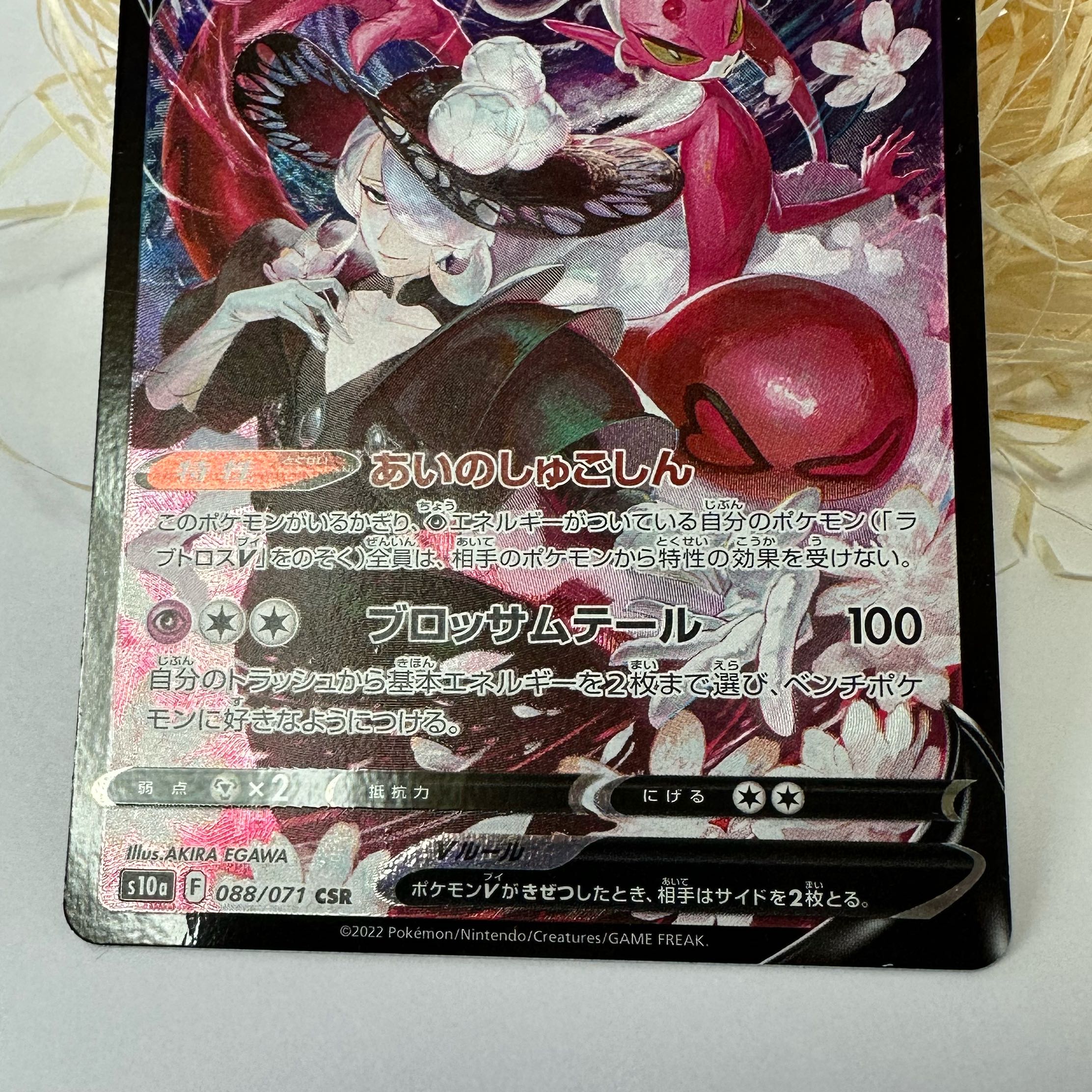 Shipping charges included] Lovatross V CSR 088/071