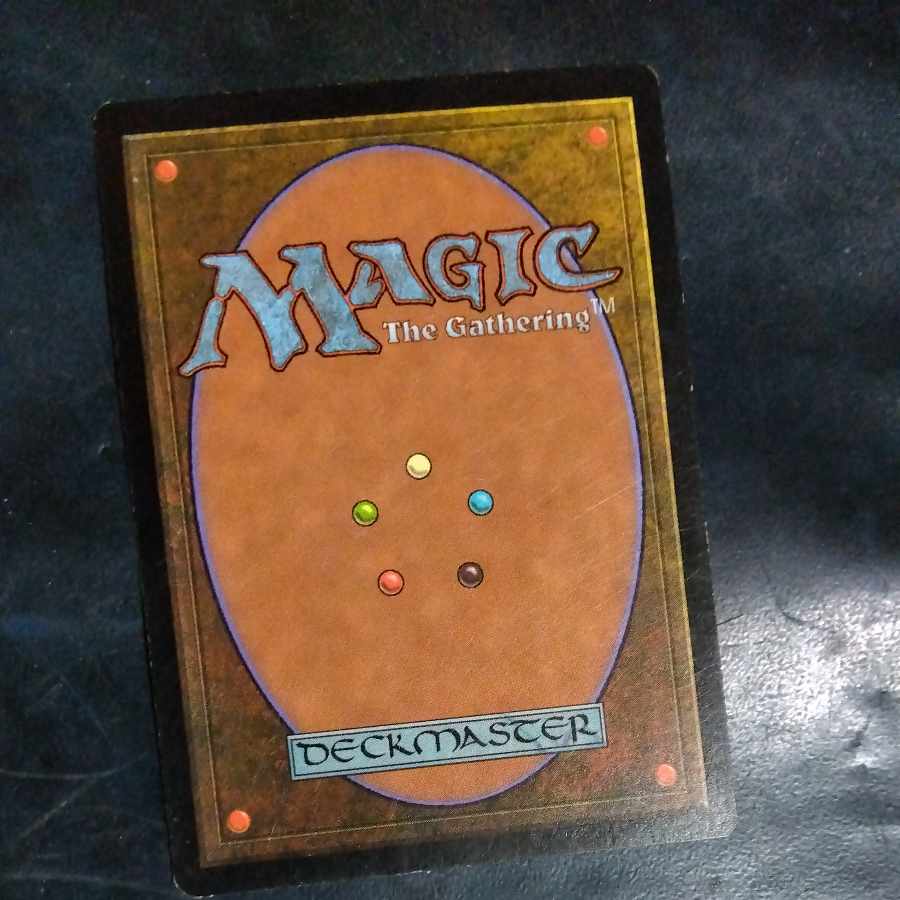 MTG Scratched grab bag. 1枚