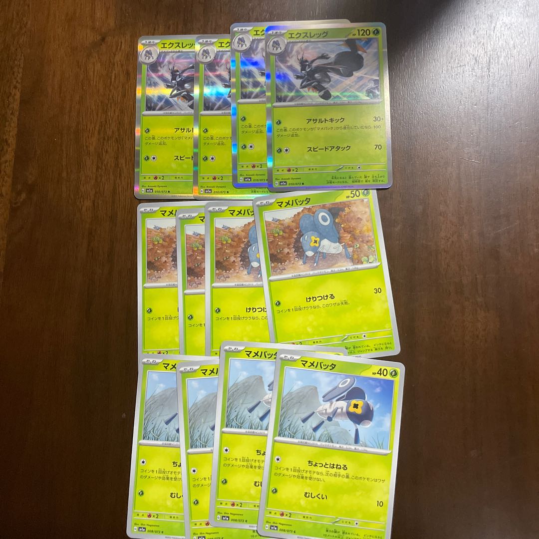 エクスレッグ R 010/073 進化ライン