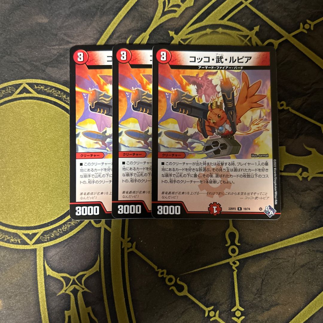 Cocco Bu Lupia R 19/74