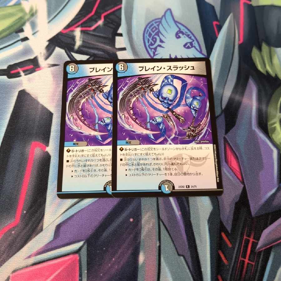 ブレイン・スラッシュ R 24/75