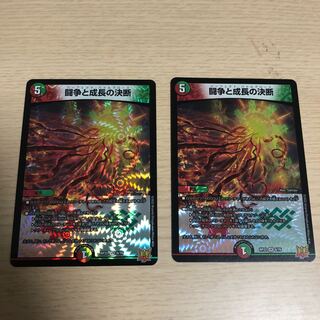 Fighting Conflict and Growth Decision VR 8/76