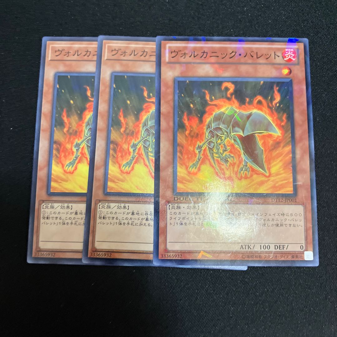 3 Volcanic Shells Special Price