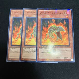 3 Volcanic Shells Special Price