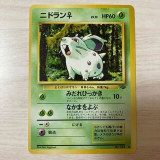 【良品】旧裏 ニドランメス