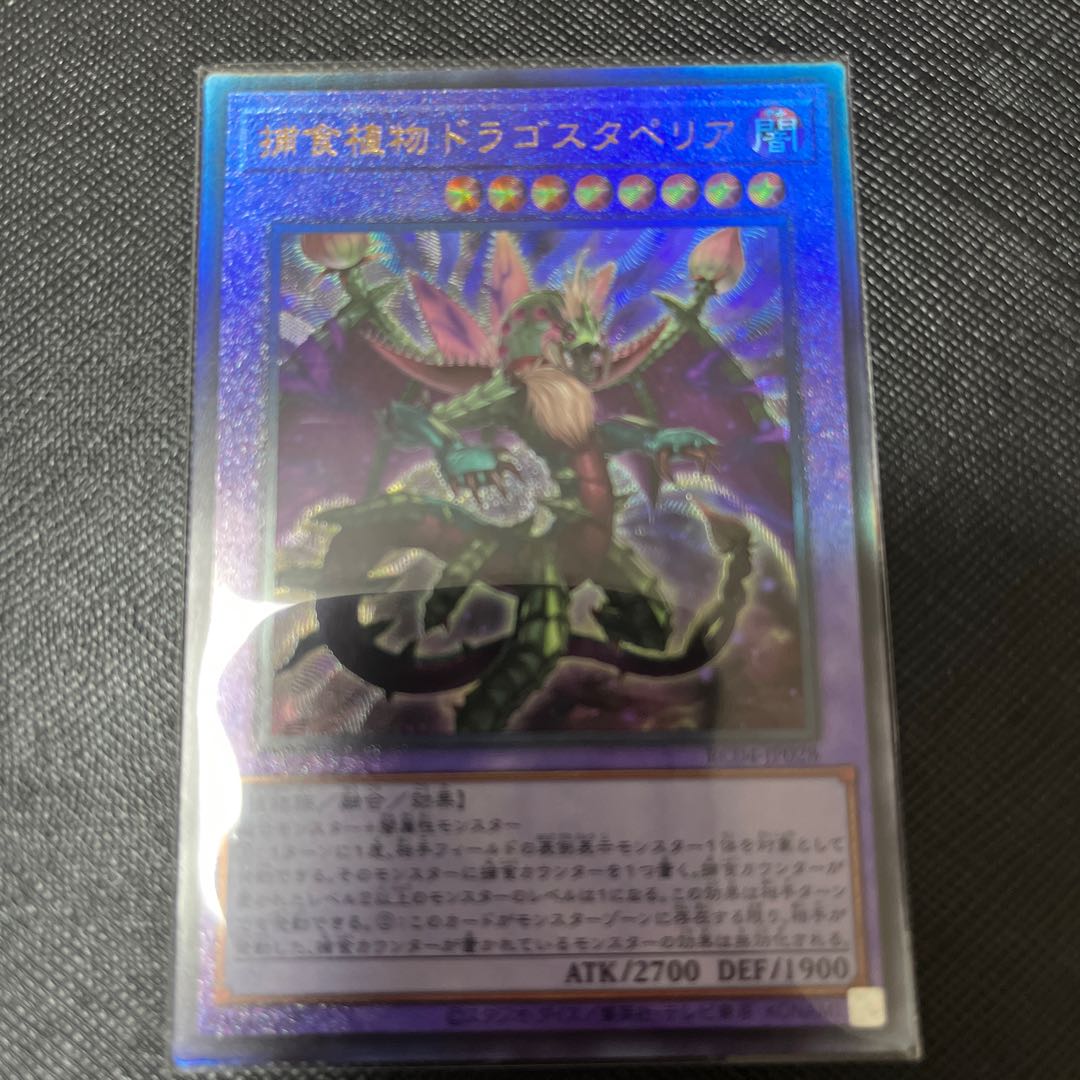 Predaplant Dragostapelia Ultimate Rare JP028