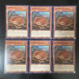 枯鰈葉リプレース ノーマル JP029 6枚セット