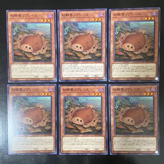 Karei Kareiha Replaces Normal JP029 Set of 6