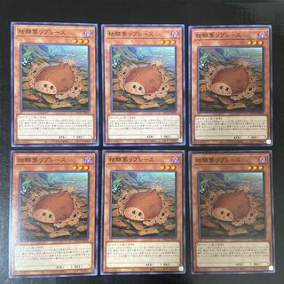 枯鰈葉リプレース ノーマル JP029 6枚セット