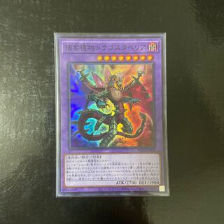 Predaplant Dragostapelia Super Rare JP028