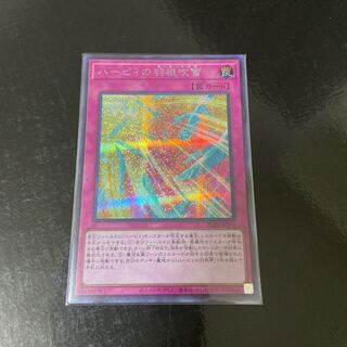 ハーピィの羽根吹雪 シークレットレア JP074