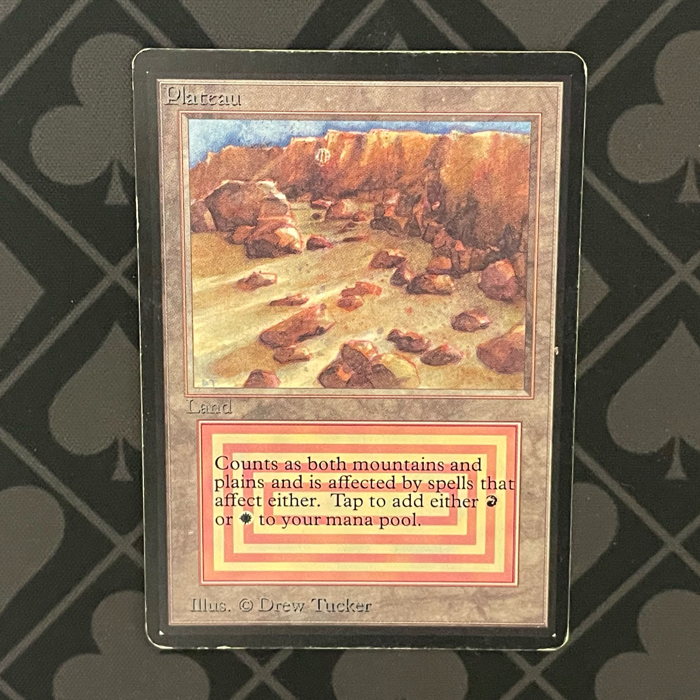 Plateau Rea 280/302 LEB beta beta