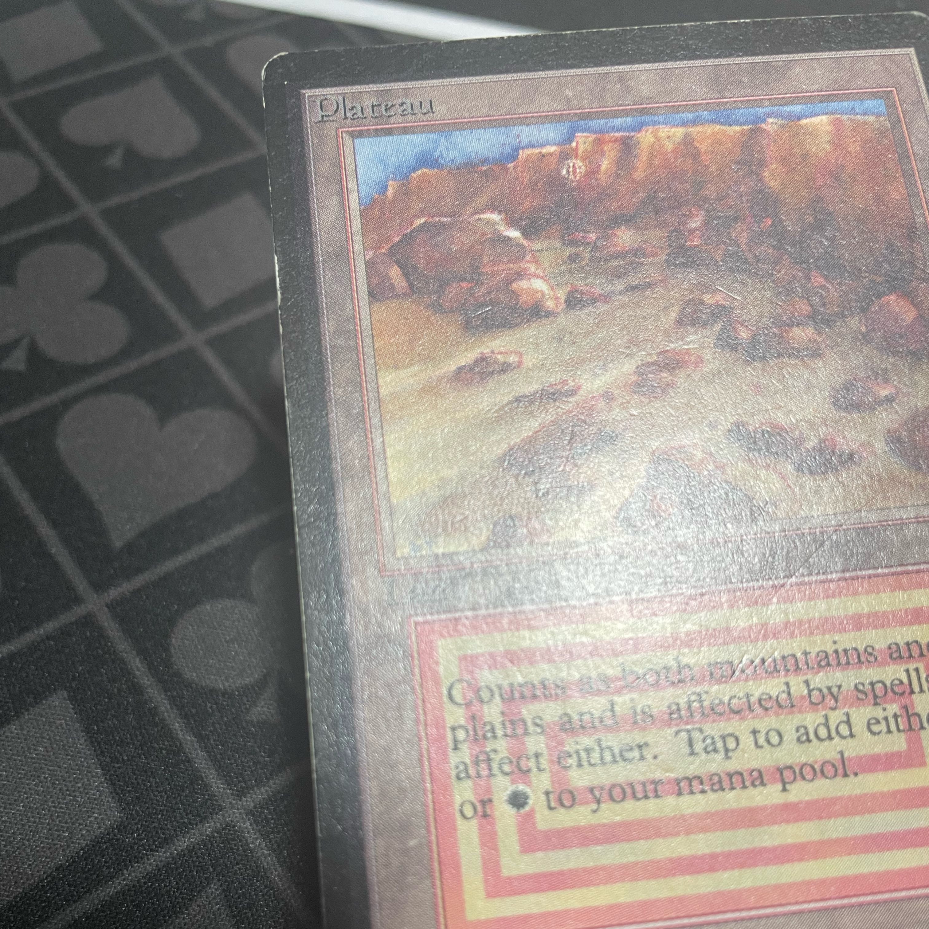 Plateau Rea 280/302 LEB beta beta