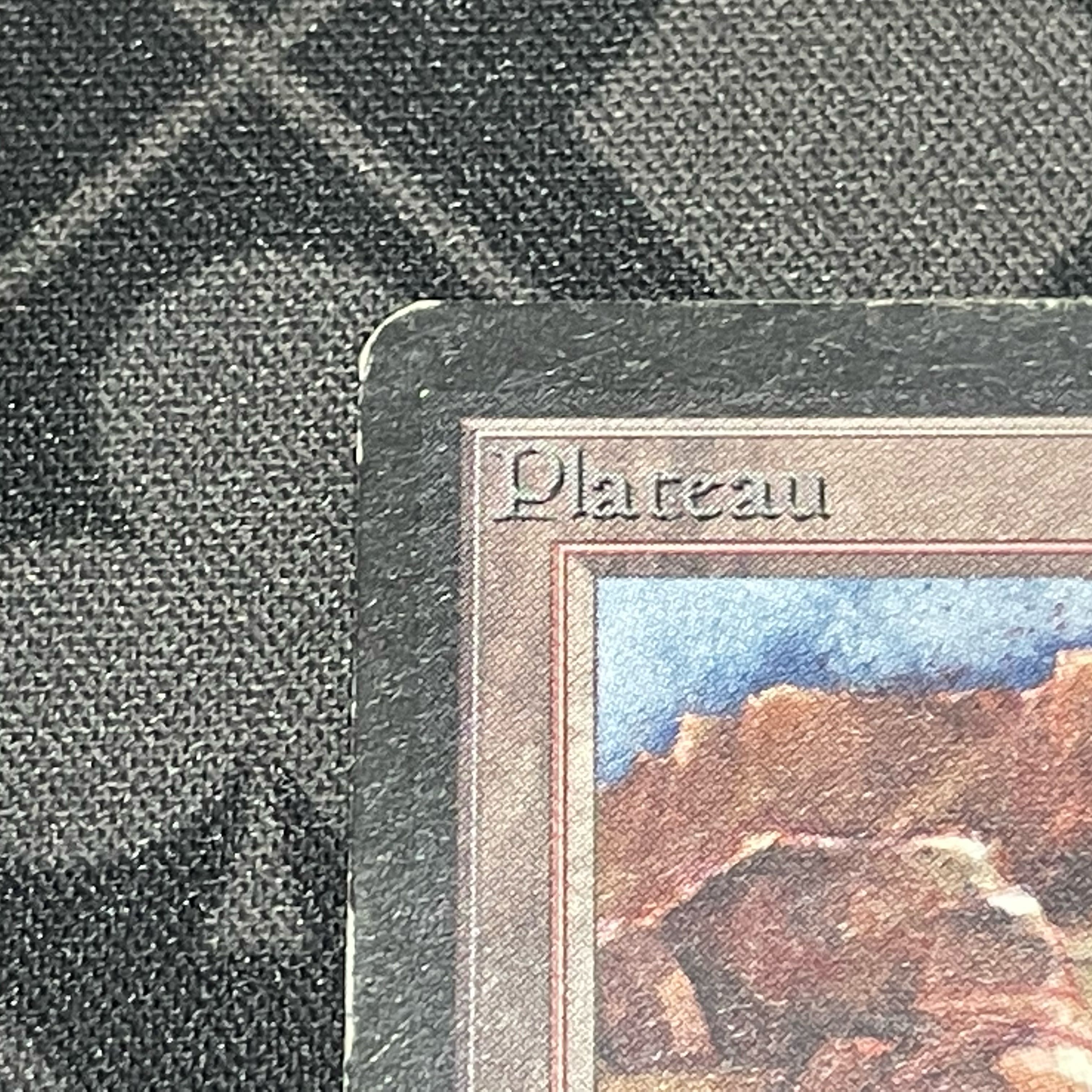 Plateau Rea 280/302 LEB beta beta