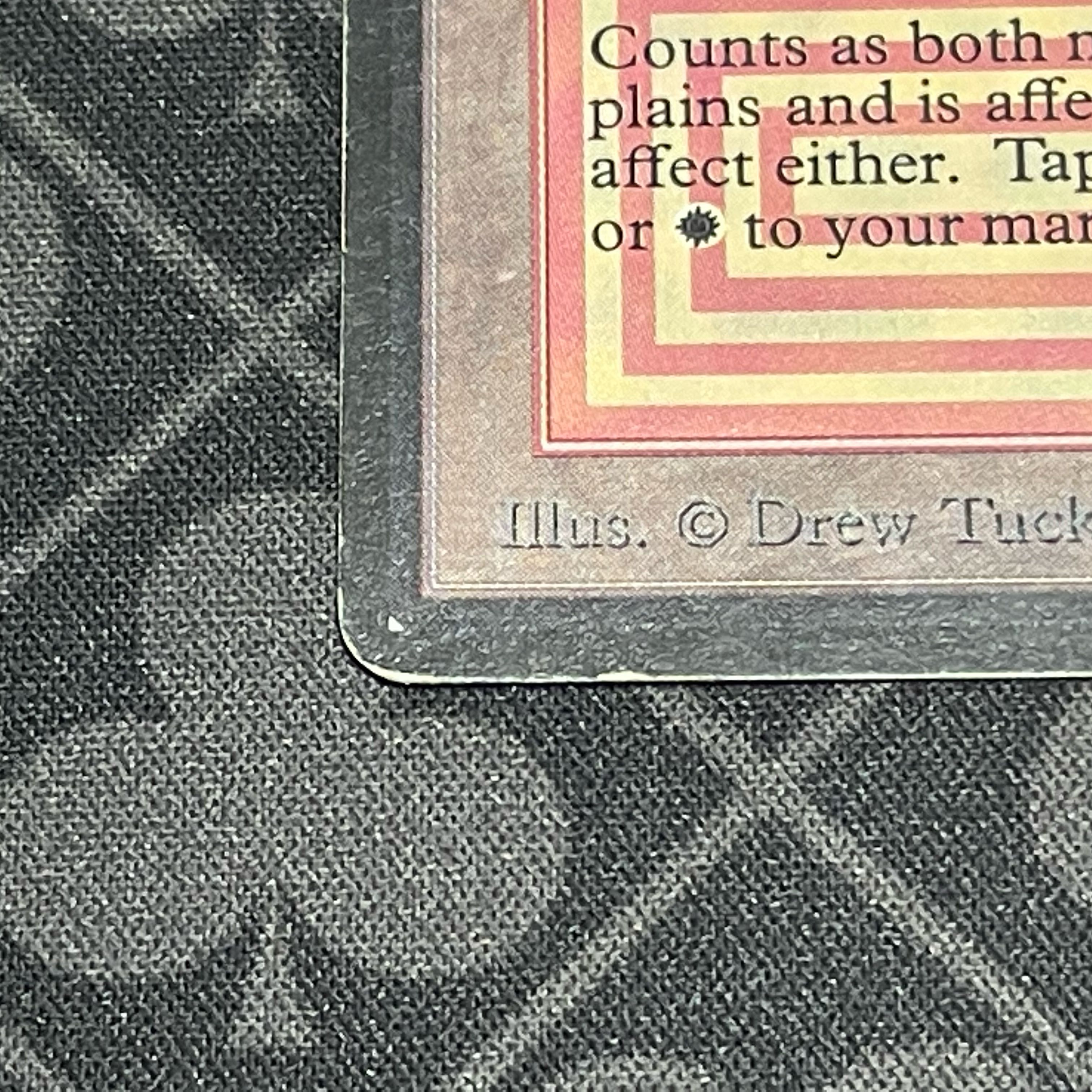 Plateau Rea 280/302 LEB beta beta