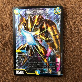 雷光の聖騎士　ライトニングソードパラディン