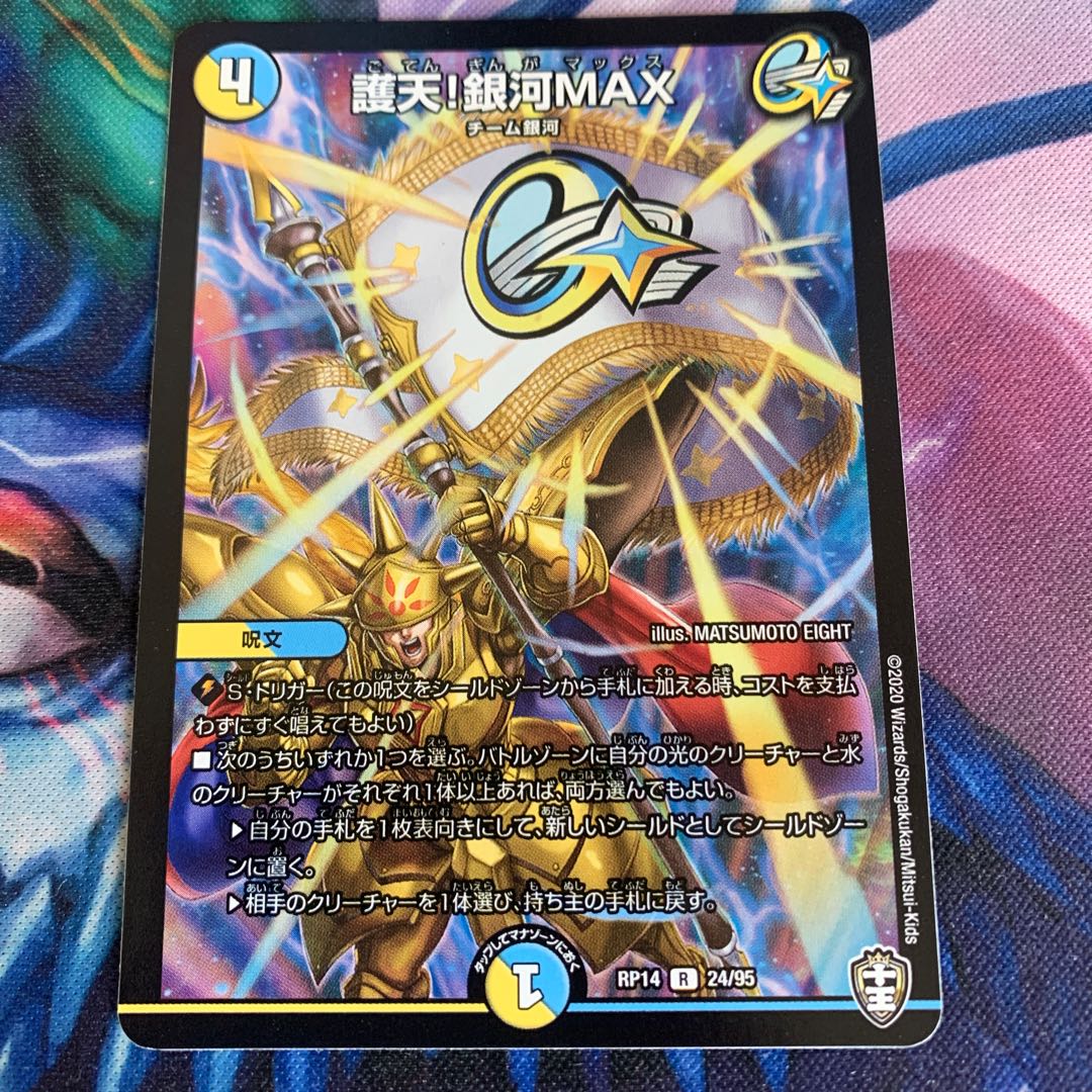 Proten! Ginga MAX R 24/95